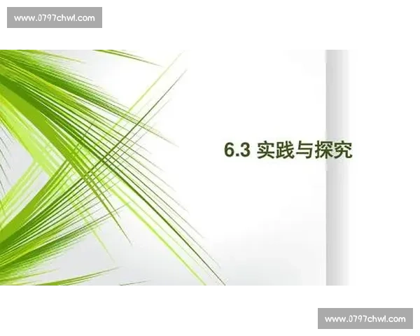 围绕恢复周期优化节奏与效率的系统性策略与实践探索